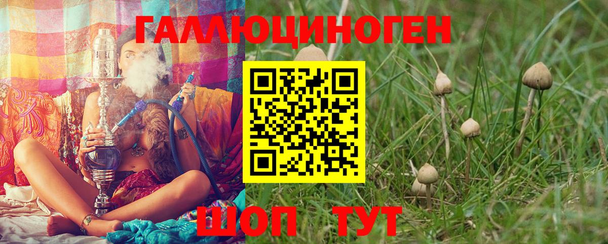 Псилоцибиновые грибы мицелий Бирск